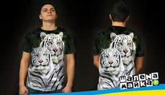 львы альбиносы